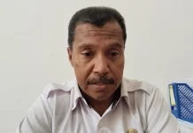 Dinkes Fakfak Bentuk Tim Krisis Hadapi Kabut Asap Karhutla