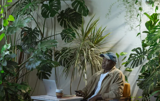 Lima Tanaman Hias Indoor Penyerap Bau Tak Sedap