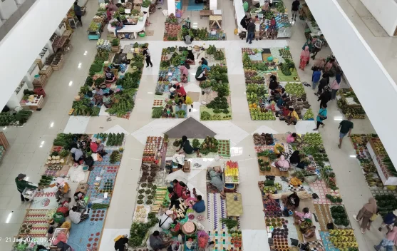 Bantuan Pertanian Dukung Ketersediaan Sayur di Pasaran Fakfak