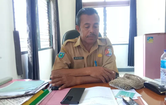 Disperindag Fakfak Jelaskan Penyebab Kenaikan Harga Bahan Pokok