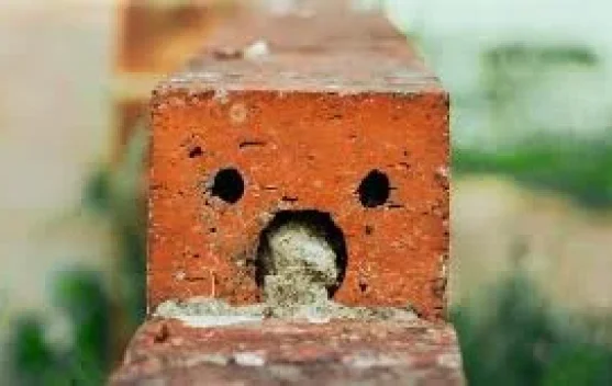 Pareidolia: ketika Otak Melihat Pola yang Sebenarnya Tidak Ada