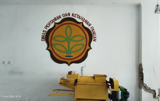 Ketergantungan Beras Impor Jadi Tantangan Fakfak saat Ini