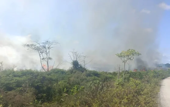 Babinsa dan Warga Berupaya Padamkan Kebakaran Lahan Bomberay Fakfak