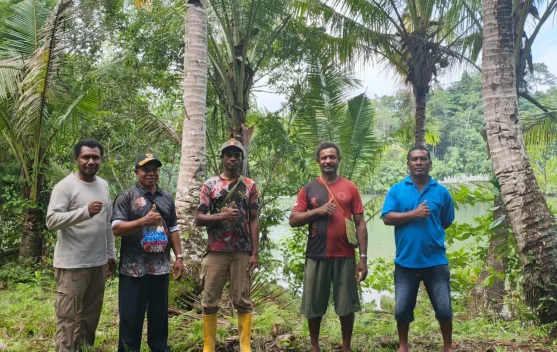 Pendataan CPCL Peremajaan Kelapa Dimulai, Pemkab Fakfak Targetkan 75 Hektare
