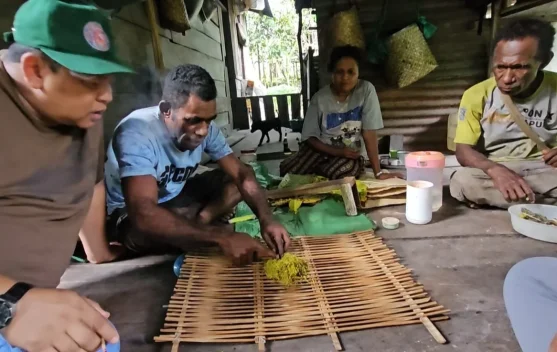 Pemkab Fakfak Perkuat Pelestarian Tembakau Negeri sebagai Warisan Leluhur