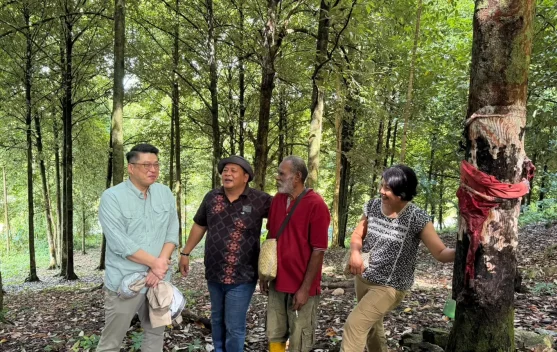 Hilirisasi Pala Tomandin Fakfak Menarik Minat Pelaku Usaha Nasional