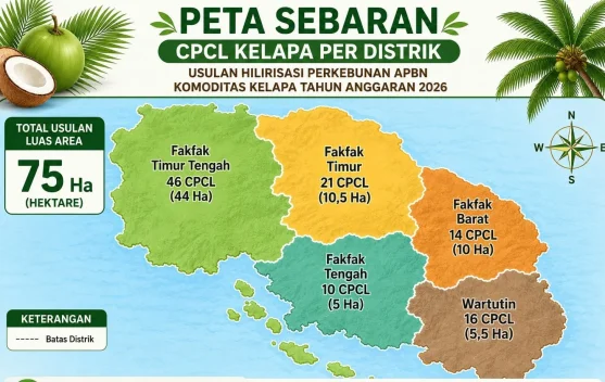 Disbun Fakfak Rampungkan Pendataan 107 Petani Calon Peremajaan Kelapa