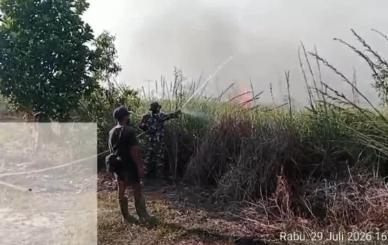 Babinsa Bersama Warga Padamkan Kebakaran Lahan Gambut di Kampung Wammar