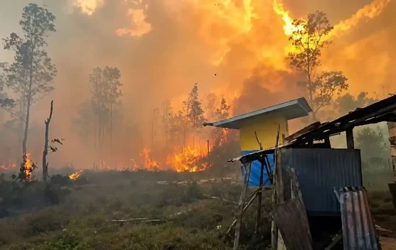 BPBD Fakfak Perketat Pemantauan Karhutla di Bomberai dan Tomage