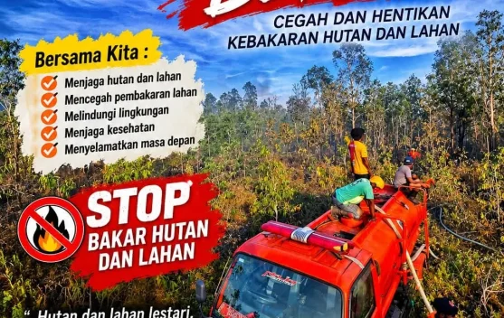 Warga Fakfak Diminta Waspadai Ancaman Kebakaran Hutan