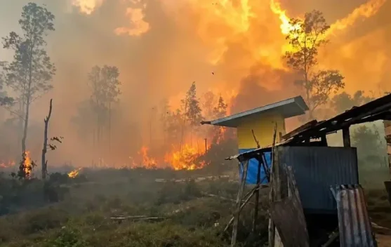 Puskesmas Bomberai Soroti Kebutuhan Air Bersih Masyarakat Terdampak