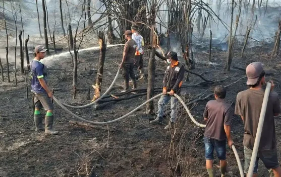 Petugas BPBD Fakfak Terus Berjibaku Tangani Karhutla