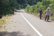 Dukung Program Bupati, Jalan menuju Bandara Siboru Fakfak Dibersihkan