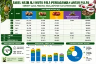 Pala Tomandin Fakfak Terus Perkuat Kontribusi terhadap PAD