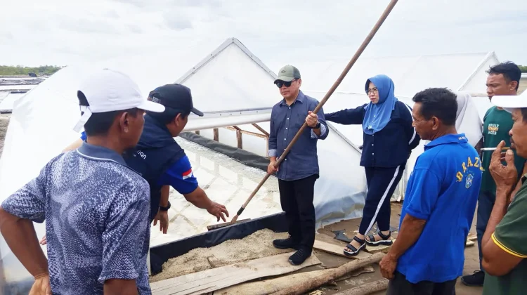 Dukung Ketahanan Pangan, DKP Gorontalo Perkuat Produksi Garam