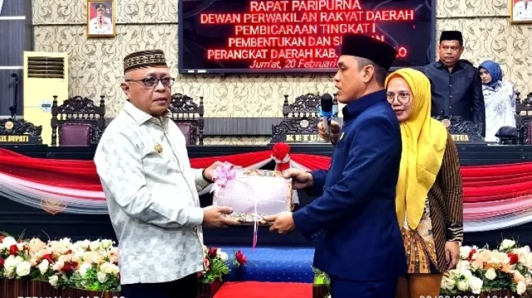 Kurangi Jumlah OPD, Sofyan Serahkan Draft Usulan Perubahan Perda ke DPRD