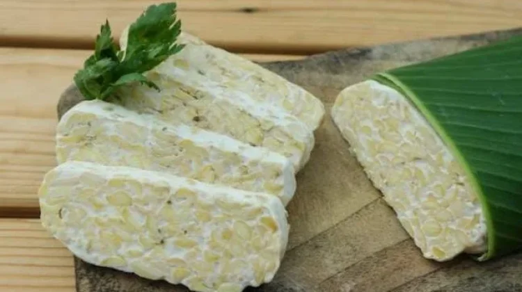 Manfaat Tempe Untuk Kesehatan Tubuh Manusia