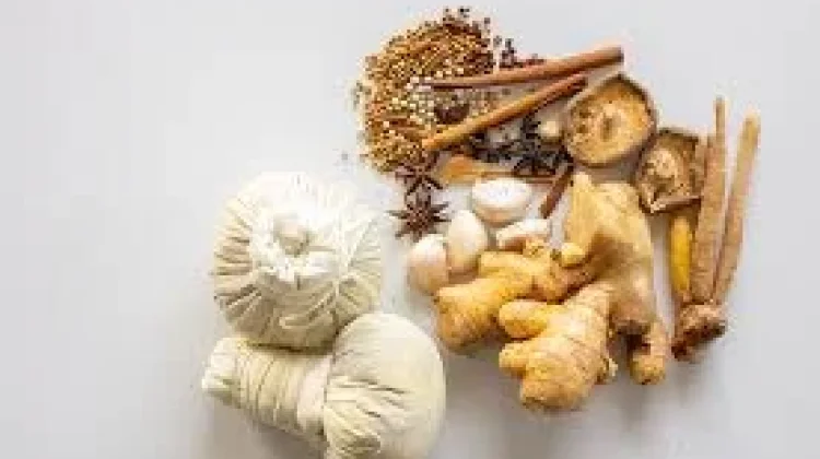 Tanaman Herbal untuk Membantu Turunkan Kolesterol
