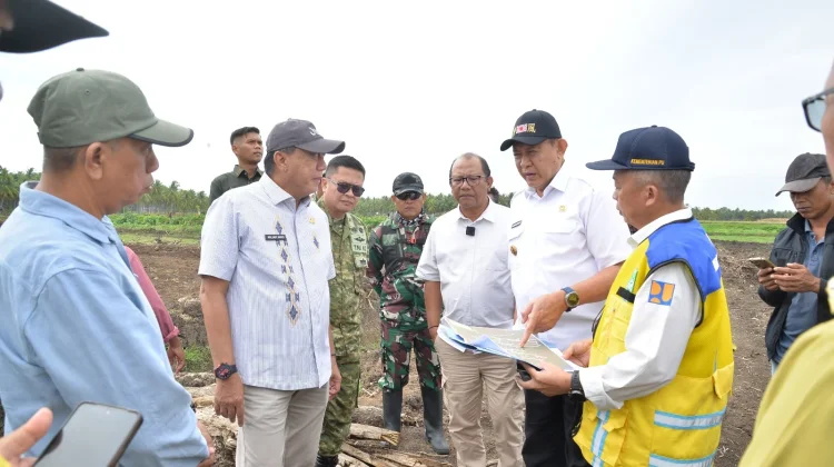 Gubernur Tinjau Progres Dua Pencetakan Sawah di Randangan