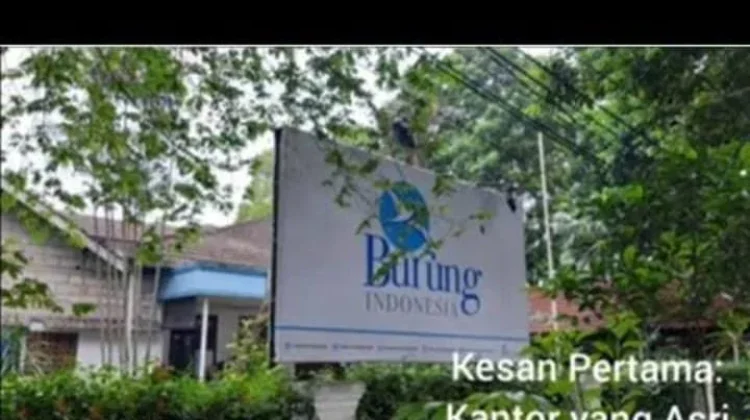 Burung Indonesia Pemda Pohuwato Perkuat Komitmen Berkelanjutan