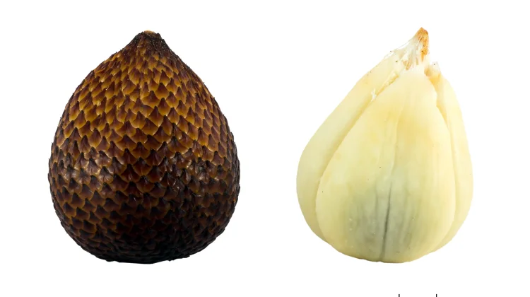 Salak Kaya Manfaat untuk Kesehatan