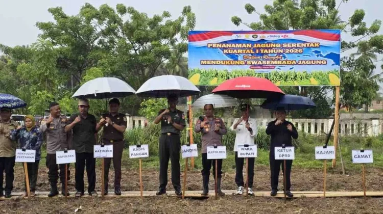 Polres Pohuwato Laksanakan Penanaman Jagung Kuartal I Tahun 2026