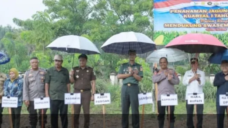 Tanam Raya Jagung Serentak Dukung Swasembada Pangan