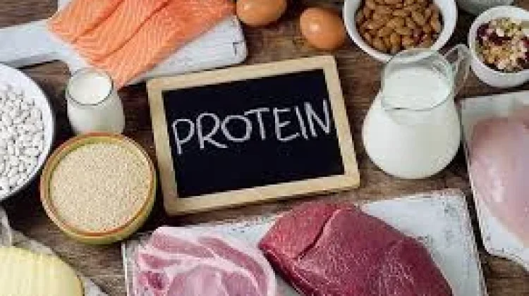 Makanan yang Mengandung Protein Tinggi