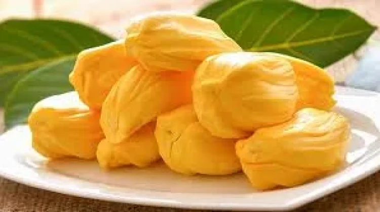 Manfaat Buah Nangka yang Perlu Diketahui