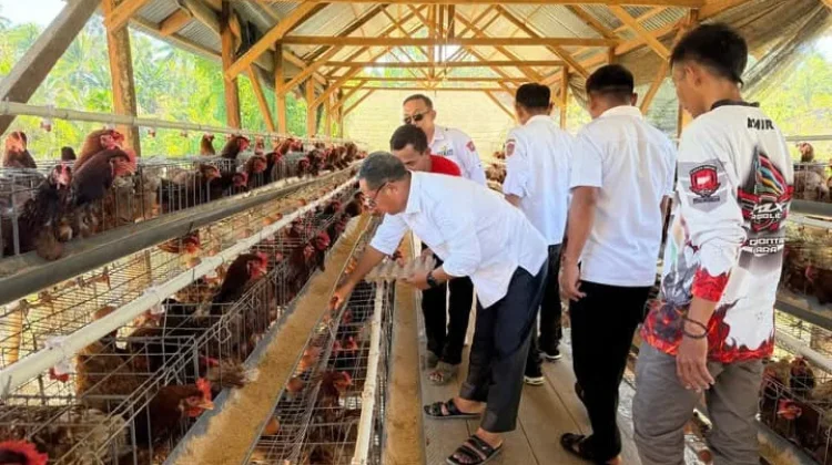 Bupati Tinjau Peternakan Ayam BUMDes Dambalo