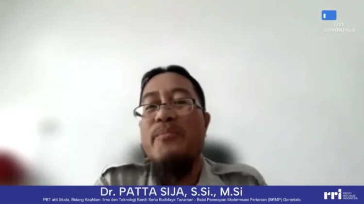BRMP Gorontalo Sarankan Benih Tahan Kekeringan dan Tanaman Umur Pendek