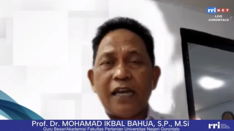 Akademisi UNG: Dampak Gozilla El Nino Ancam Ketahanan Pangan di Gorontalo