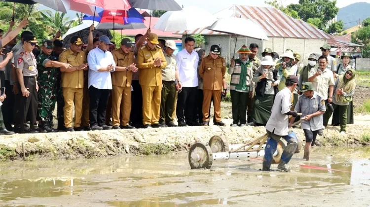 Lokasi Gelar Teknologi Pertanian PENAS Gorontalo Mulai Ditanami Padi