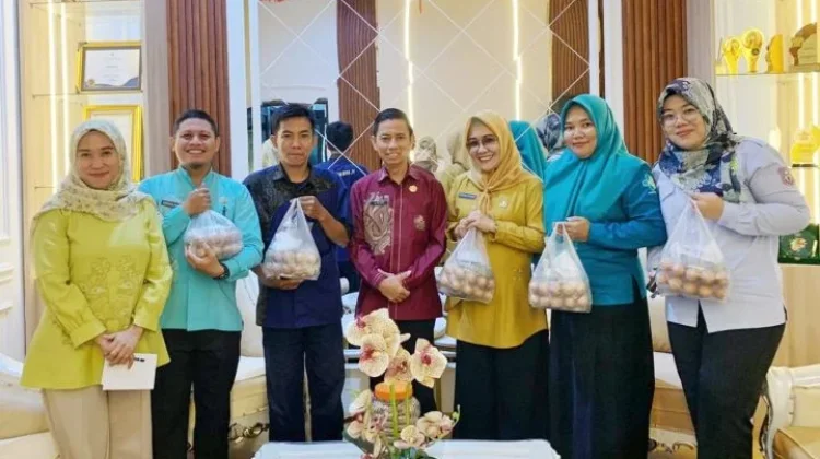 Apresiasi untuk Pegawai yang Merespon Cepat Selamatkan Ibu Hamil DBD