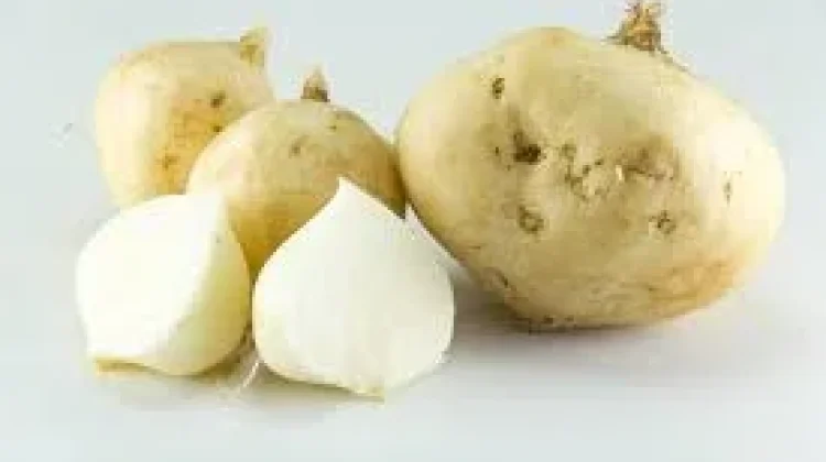 Manfaat Bengkuang untuk Wajah