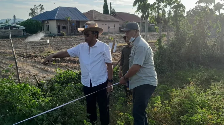 Miniatur Kampung Ternak dan Kontes Sapi Akan Meriahkan Penas KTNA ke-17