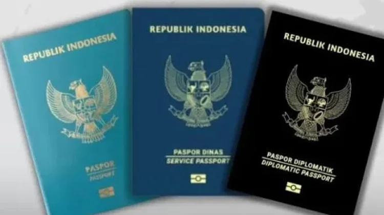 Kenali Arti Warna Paspor RI