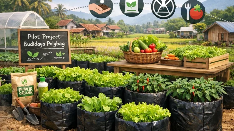 Budidaya Polybag Dinilai Solusi Pangan Sehat dan Terjangkau