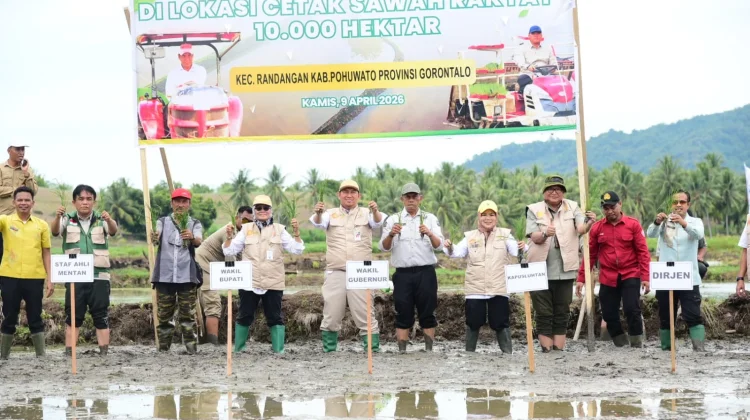 Wagub Turun Sawah Tanam Padi di Lokasi CSR Randangan