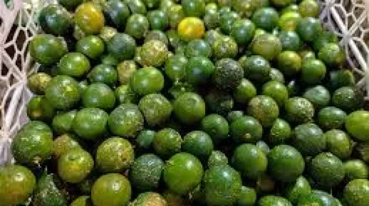 Manfaat Jeruk Limau untuk Kesehatan