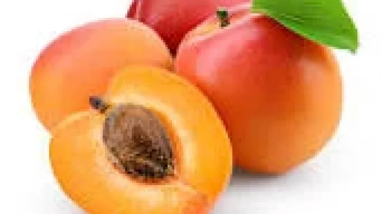 Manfaat Buah Aprikot Tak Perlu Diragukan Lagi