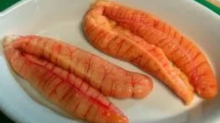 Manfaat Telur Ikan untuk Kesehatan