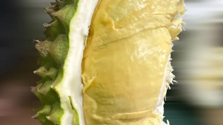 Pesona Durian Musang King: Mahal tapi Tetap Jadi Favorit