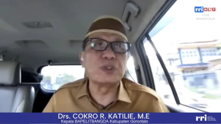 Cokro Katilie: Sinergi Pemerintah dan Swasta Dorong Pertumbuhan Ekonomi