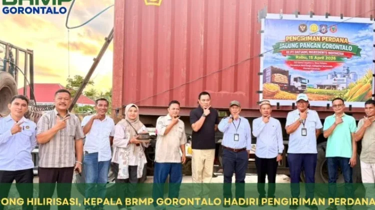 Pengiriman Perdana Jagung Gorontalo Dorong Hilirisasi