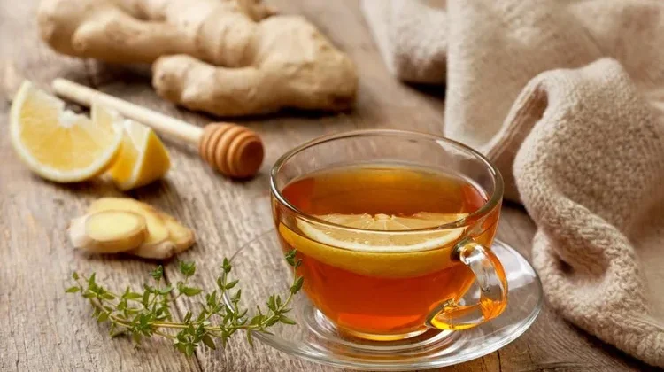 Ramuan Herbal Ampuh Usir Asam Lambung