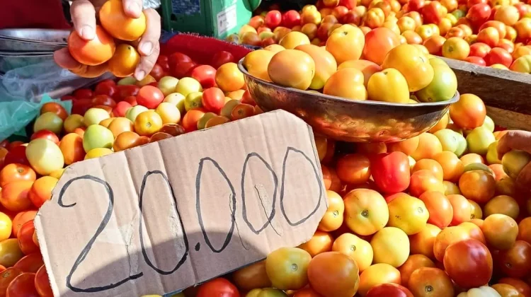 Harga Bahan Pokok di Pasar Andalas Masih Stabil