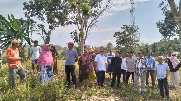 Komisi I DPRD Tinjau Lahan Sekolah Garuda, Warga Khawatir Tergusur