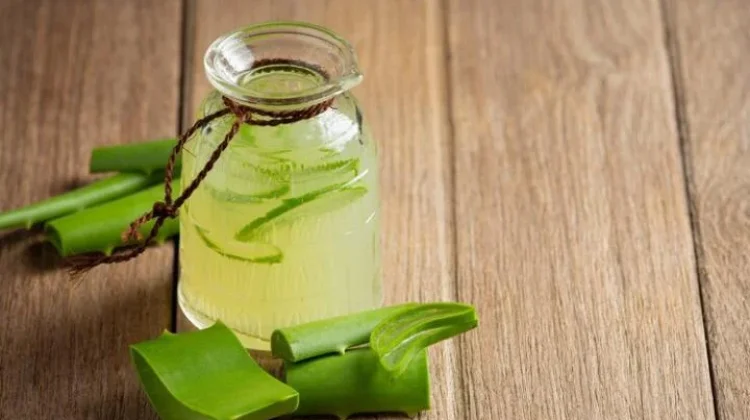 Khasiat Lidah Buaya untuk Kecantikan