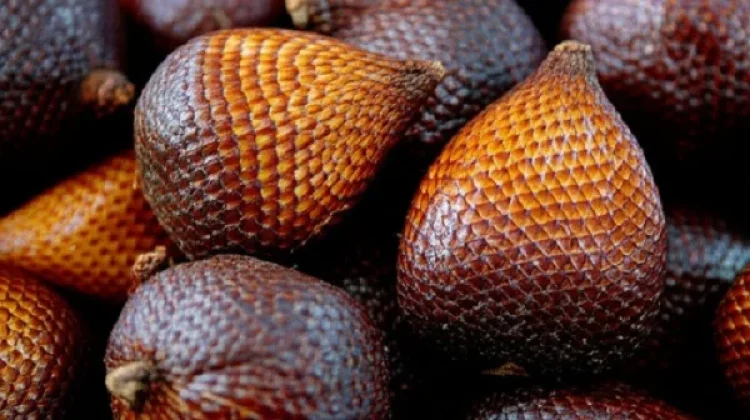 Kulit Buah Salak yang Diabaikan, Ini Manfaatnya